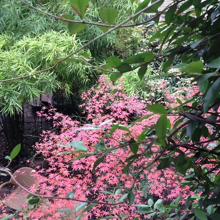住宿加早餐酒店 Terrasse Et Jardin *